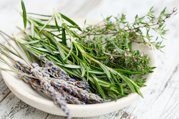 Bylinky herbs 2523119 960 720