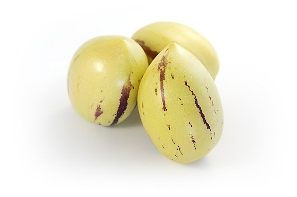 PEPINO - MELOUNOVÝ KEŘ - SOLANUM MURICATUM PEPINO - MELOUNOVÝ KEŘ - SOLANUM MURICATUM
