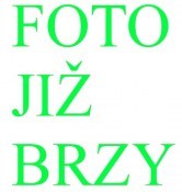 Mrazuvzdorná mandarinka Nova (1/2)