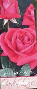 Růže keřová - Garden Queen růžová (1/2)