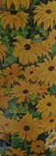 Venkovní keř - Rudbeckia fulgida goldstu žlutá (1/2)