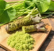 Wasabi - pravý japonský křen (2/2)